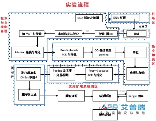 遗传病诊断+肿瘤诊断与治疗技术流程（www.stcklaser.com）