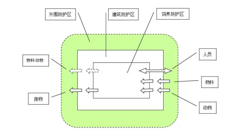 动物实验中心之动物房建设流程及注意事项